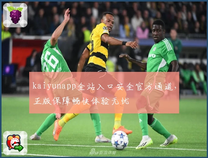 kaiyunapp全站入口安全官方通道，正版保障畅快体验无忧